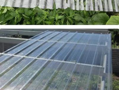 PP板的特性和分类